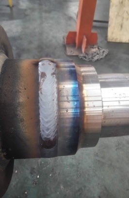 º¸·ì2.jpg º¸·ì2.jpg